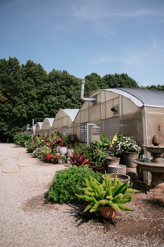 The greenhouses at Everlastings in the Wildwood.
